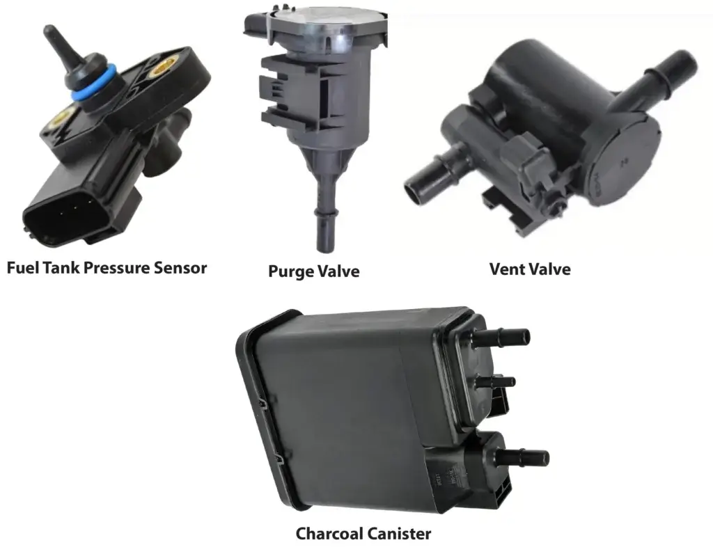 Image of evaporative emissions components. Purge valve, vent valve, fuel tank pressure sensor, and charcoal canister