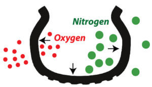 nitrogen verus air for tires