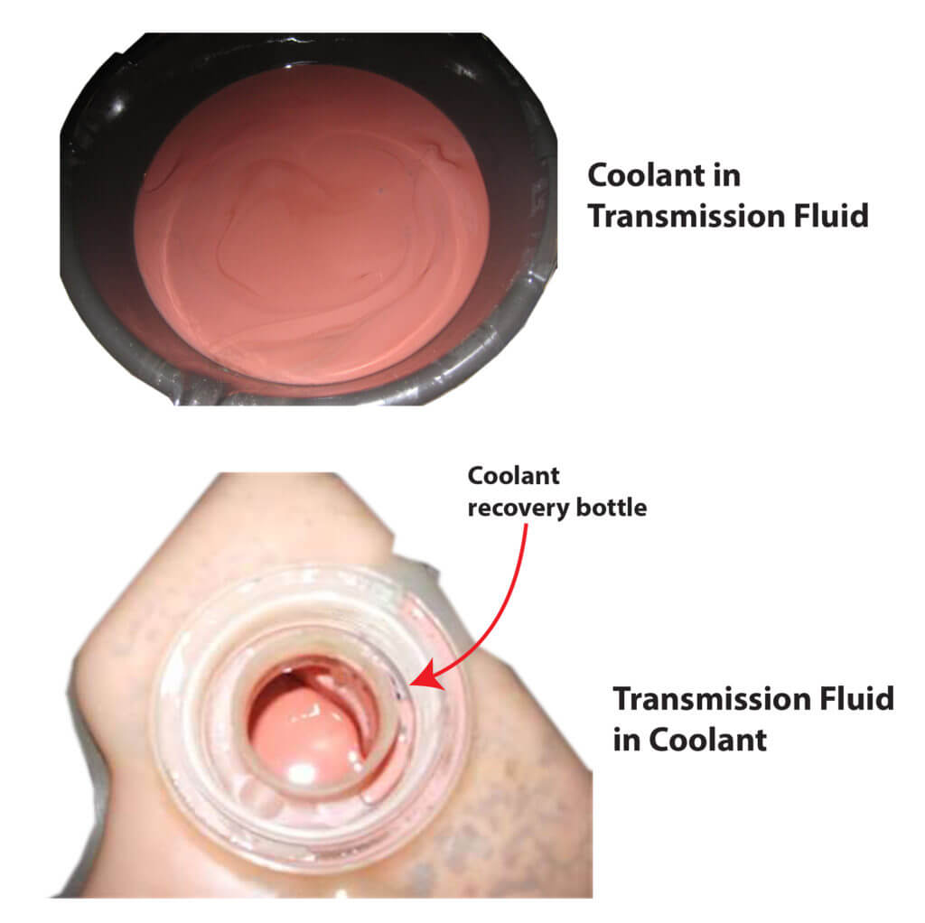 Transmissin fluid and coolant mix