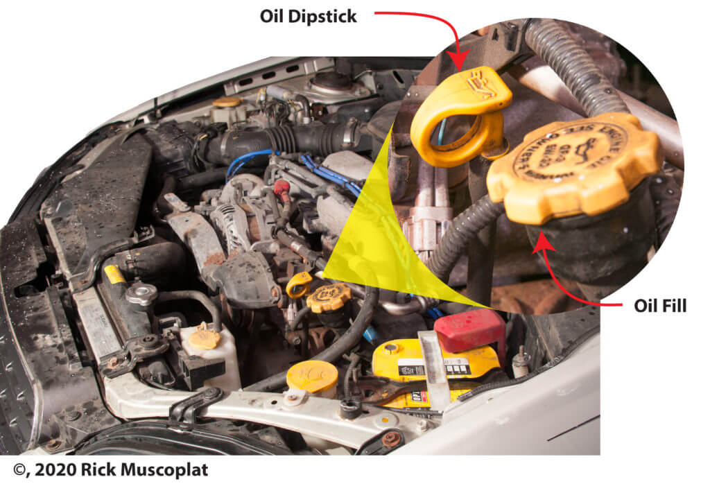how to check your oil