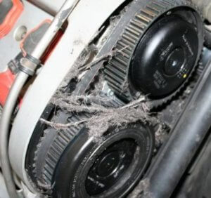 Timing belt inspection: A Step-by-Step Guide — Ricks Free Auto Repair