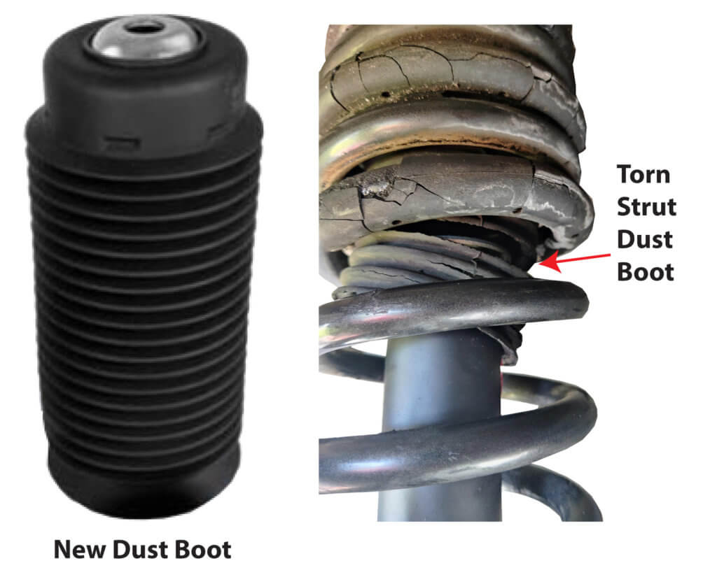 strut dust boot