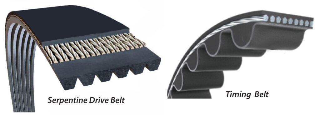 timing belt and serpentine belt
