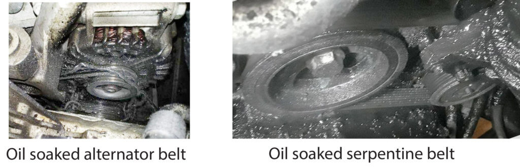 oil contaminated serpentine belts