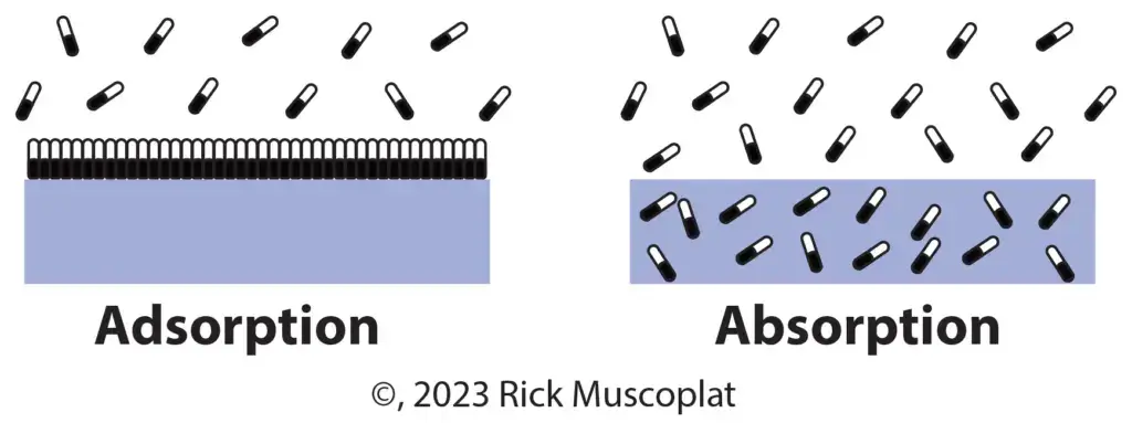 adsorption versus absorption graphic